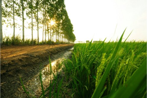Vision-Sustainability.jpg